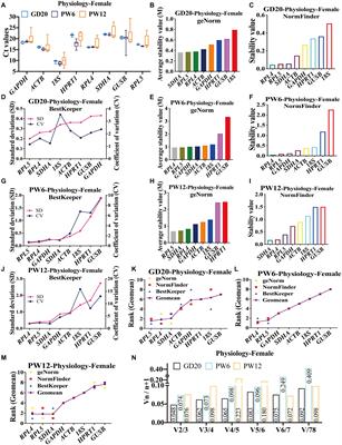 Selection and Validation of the Optimal Panel of Reference Genes for RT-qPCR Analysis in the Developing Rat Cartilage